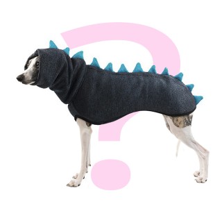 Vlastní výběr Dinosaur  ERI...