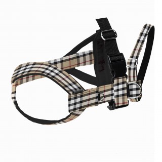 BeigeCube THREE-POINT DOG...