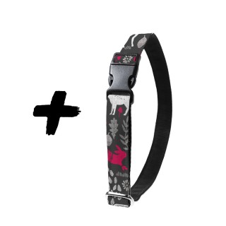 Lesní Ráj Fuchsie...