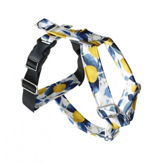 Lemon DOG HARNESS