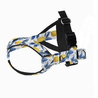 Lemon DOG HARNESS for...