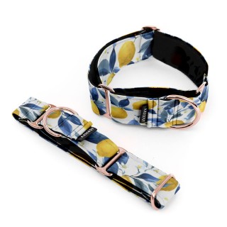 Lemon MARTINGALE COLLAR