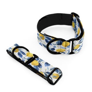 Lemon POSITIONING COLLAR