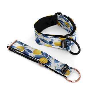 Lemon SEMI-RETRACTING COLLAR
