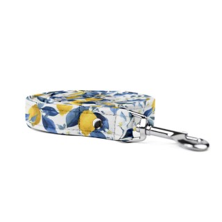 Lemon LEASH