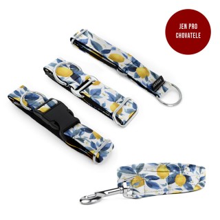 Lemon Puppy set COLLAR and...