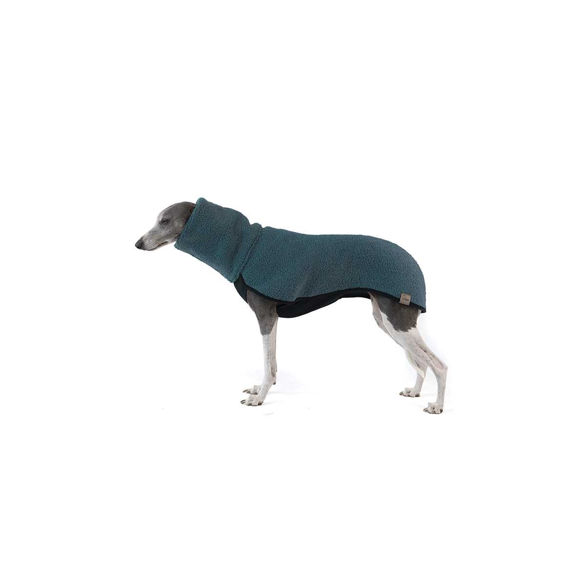Petrol TEDDY FLEECE for whippet