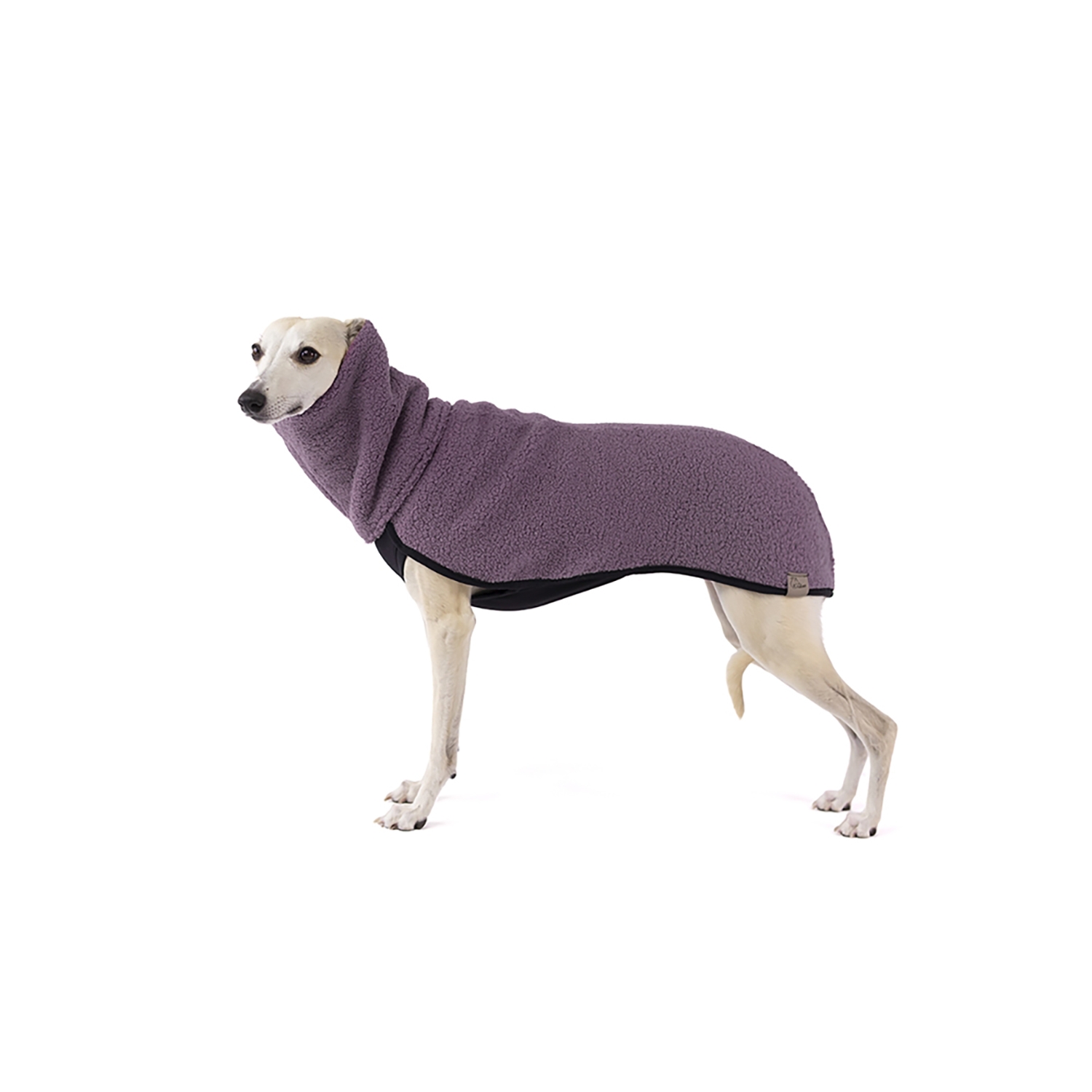 Mauwe TEDDY FLEECE for whippet