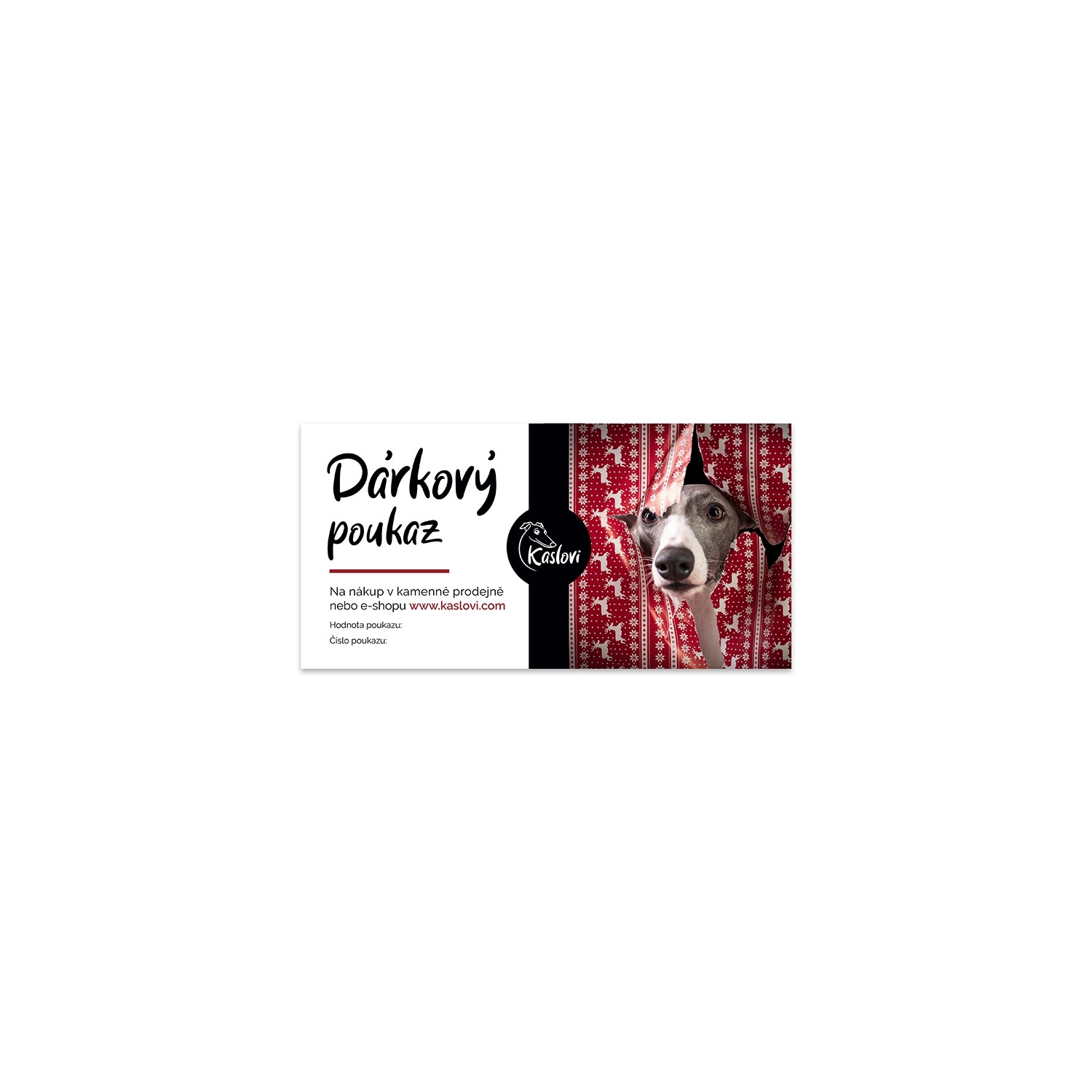 copy of VOUCHER ILL