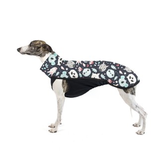 Noční svět TOP pro Vipety