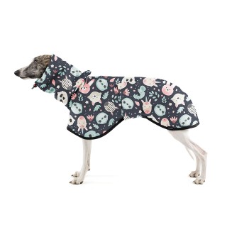 Noční svět RAINCOAT...