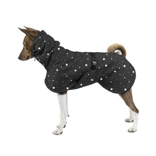 Stars ENJI BUNDA pro Basenji