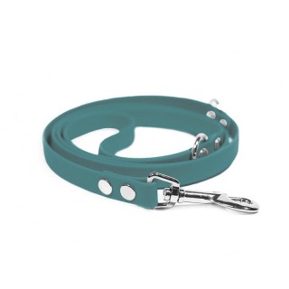 Kerosene WATERPROOF LEASH