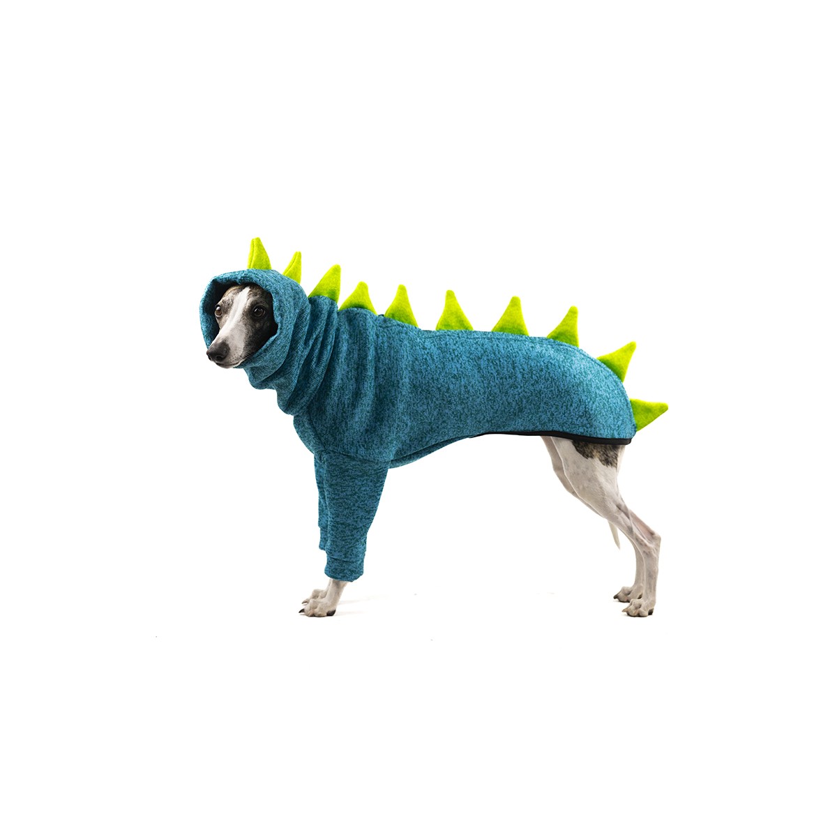Turquoise Dinosaur ZIA JUMPER