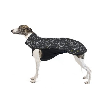 Malý Princ TOP pro Vipety