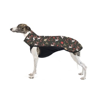 copy of Little Prince TOP