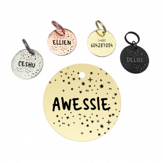 copy of Silver TAGS FOR DOGS