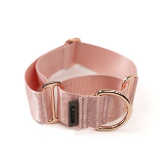 copy of Stars MARTINGALE...