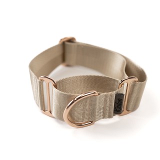 copy of Stars MARTINGALE...