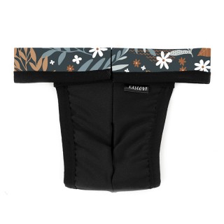 copy of Sighthounds DOG...