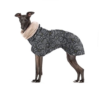 Little Prince DONY JACKET...
