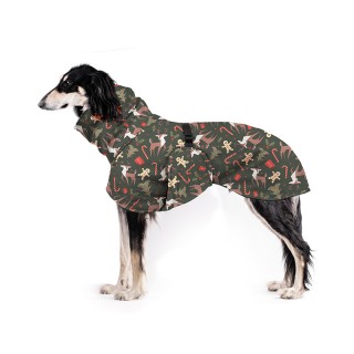 copy of Little Prince...