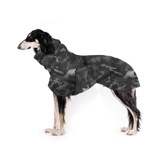 copy of Constellation ZETY...