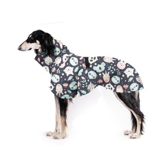 copy of Noční Svět ZETY...