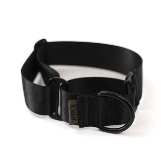 copy of Stars MARTINGALE...