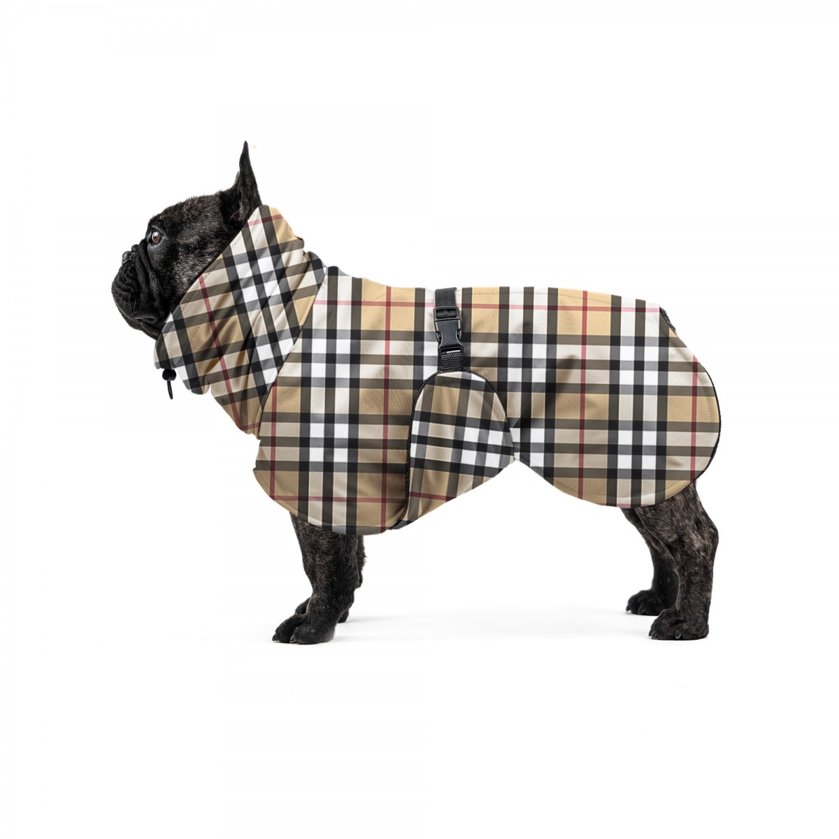 Burberry ENJI JACKET custom made Kaslovi