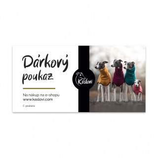 VOUCHER ILL