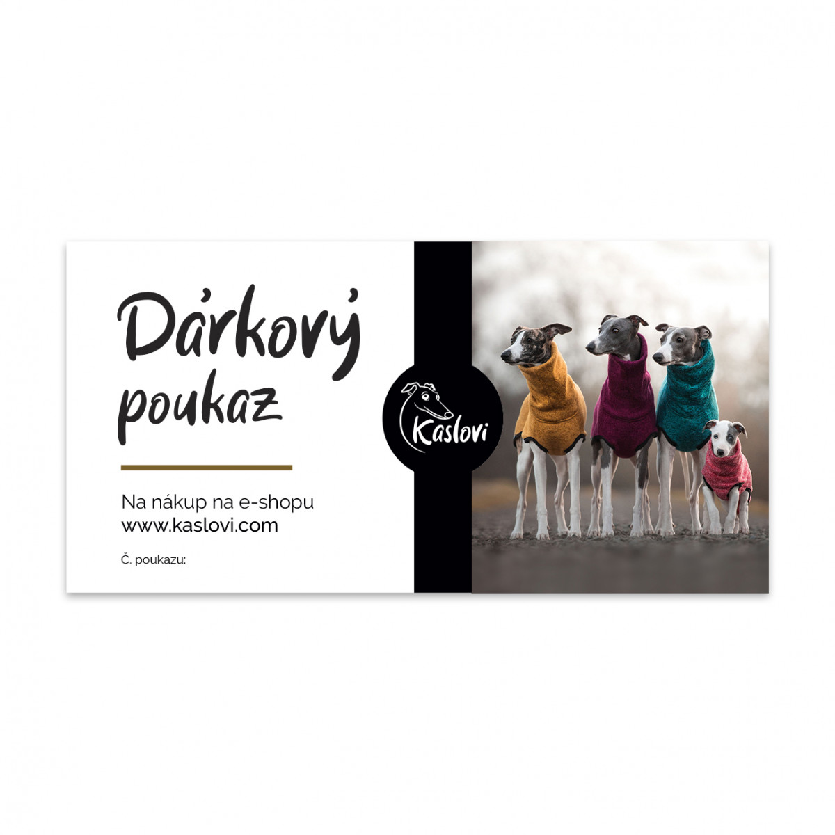 VOUCHER ILL