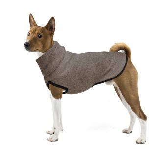 Mocha TIF SVETR pro Basenji
