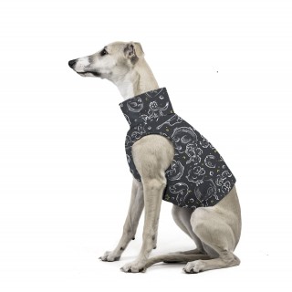 Malý Princ TRIKO pro vipety