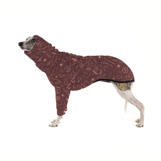 copy of Sighthound ZIA...