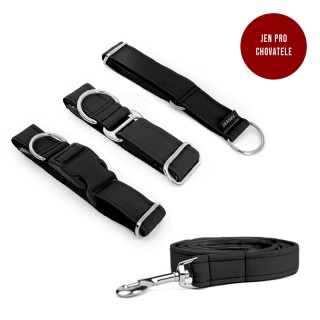 Puppy set COLLAR and LEASH