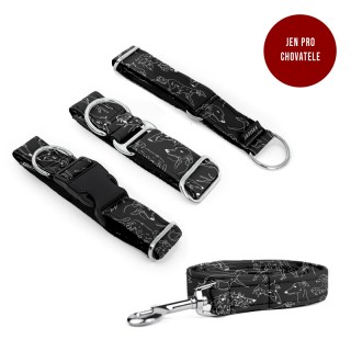 SIGHTHOUND Puppy set COLLAR...