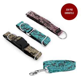 ADVENTURE Puppy set COLLAR...