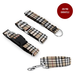 BEIGE CUBE Puppy set COLLAR...