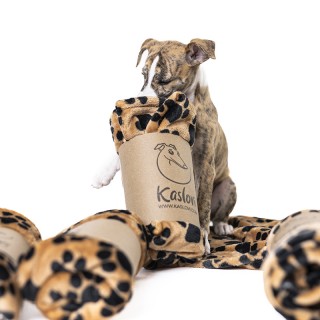 copy of BLANKET Dyzz Wel