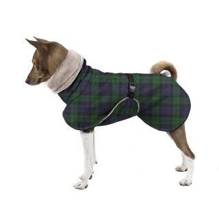 Kostka DONY BUNDA pro Basenji