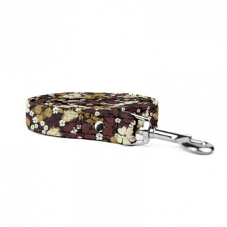 Thunbergie Vínová VODÍTKO