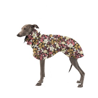 Thunbergie Lososová BEE...