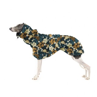 Thunbergie Petrolejová BEE...