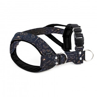 Haffy Potter Modrá EW KŠÍRY...