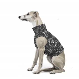 Sighthound T-SHIRT