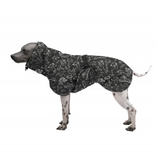 Sighthounds DEW JACKET...