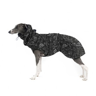 Sighthounds RUNY BUNDA pro...
