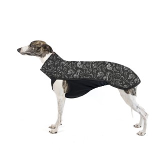 Sighthounds TOP pro Vipety