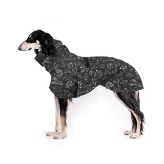 copy of Sighthound ZETY...